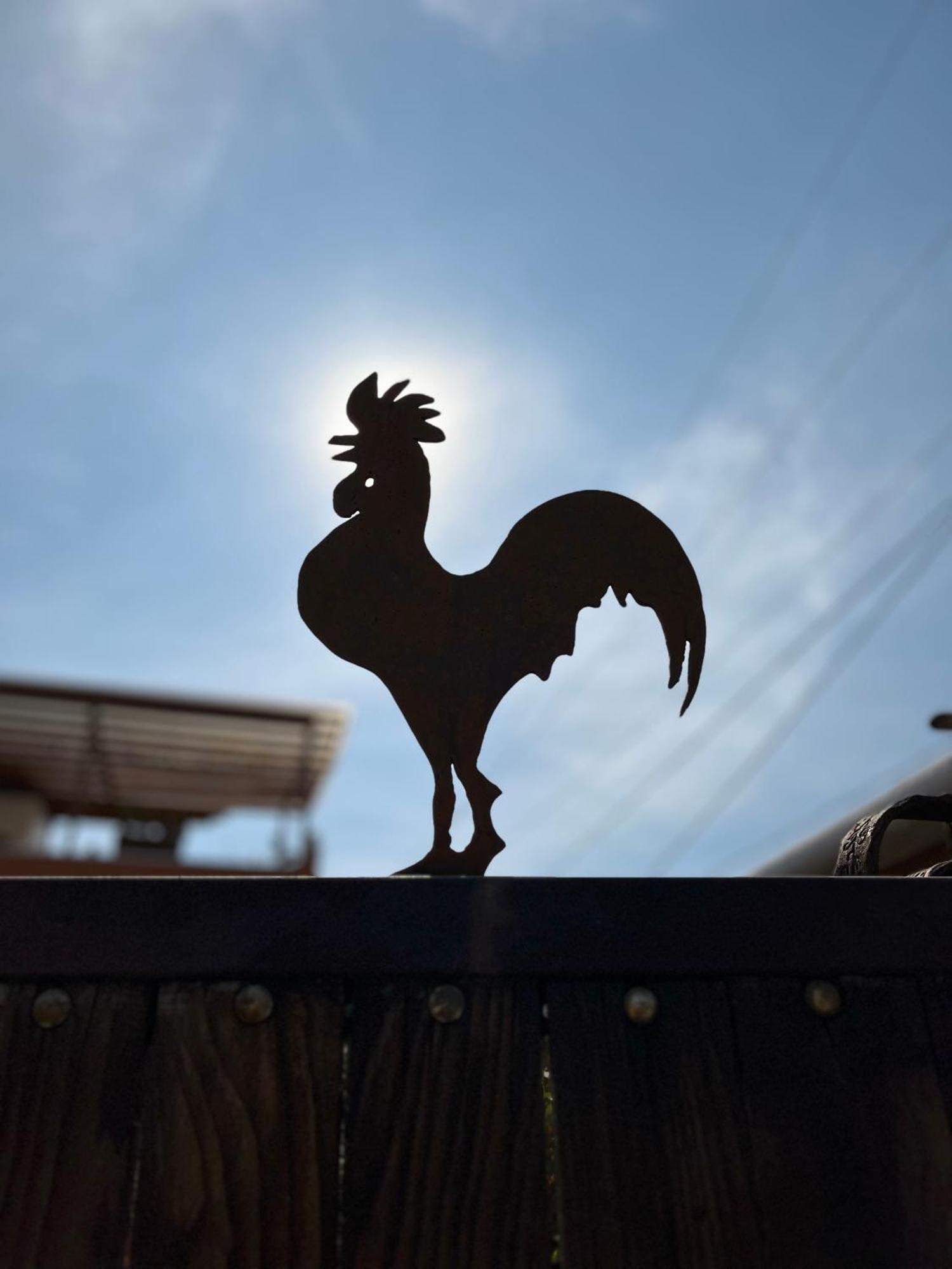 Hotel Posada Hacienda Real Tepoztlán Zewnętrze zdjęcie